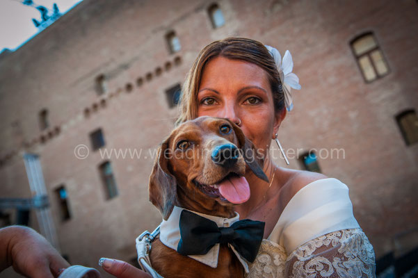 WEDDING DOG SITTER MODENA CARPI