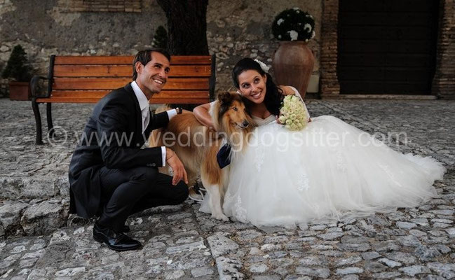 CANE AL MATRIMONIO WEDDING DOGSITTER ROMA CASTELLO ORSINI NEROLA