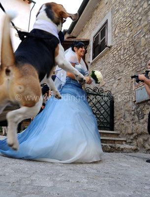 CANE DELLA SPOSA AL WEDDING