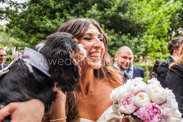 SPOSA CON CAVALIER KING