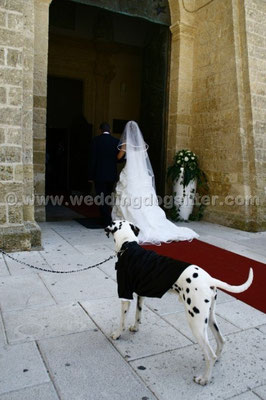 MATRIMONIO WEDDING DOG SITTER PUGLIA