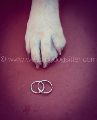 FOTO ORIGINALI MATRIMONIO SPOSI