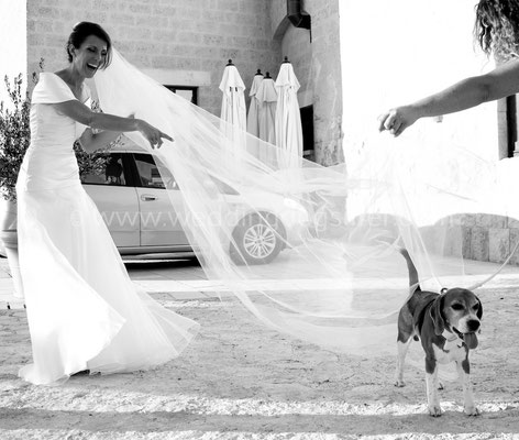 WEDDING DOG SITTER PUGLIA