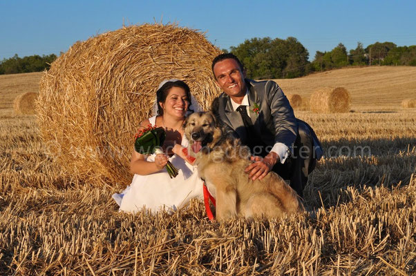 MATRIMONIO WEDDING DOG SITTER TOSCANA FIRENZE - GROSSETO