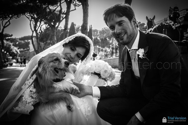 SPOSA CON IL SUO CANE AL MATRIMONIO A ROMA