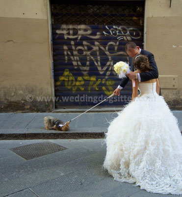 MATRIMONIO WEDDING DOG SITTER FIRENZE