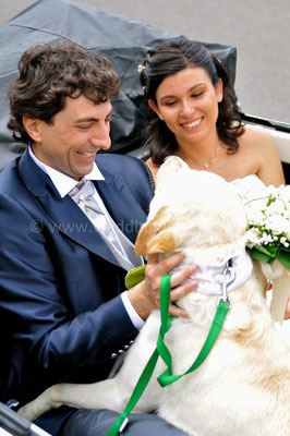 MATRIMONIO WEDDING DOG SITTER ROMA - CIVITAVECCHIA VILLA CERI