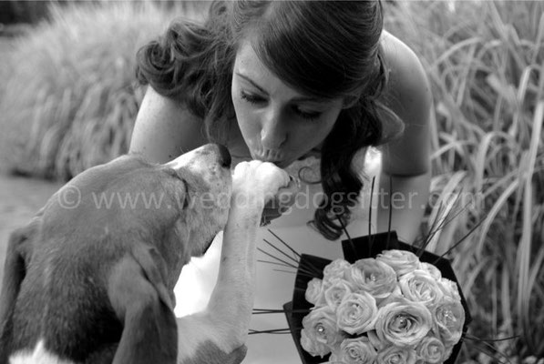 MATRIMONIO WEDDING DOG SITTER ROMA CASTELLI ROMANI TENUTA CUSMANO