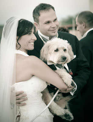 MATRIMONIO WEDDING DOG SITTER ROMA CASALI TEA
