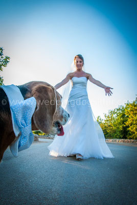 SPOSA CON ABITO LE SPOSE DI GIO' ED IL CANE