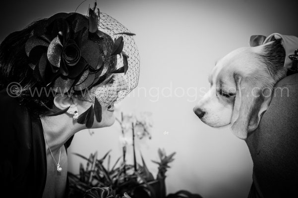 SPOSA CON BEAGLE