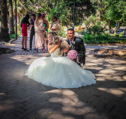 WEDDING DOG SITTER TRAPANI