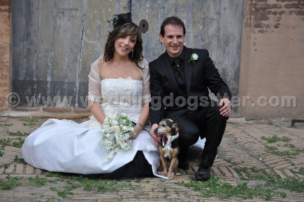 MATRIMONIO WEDDING DOG SITTER BOLOGNA