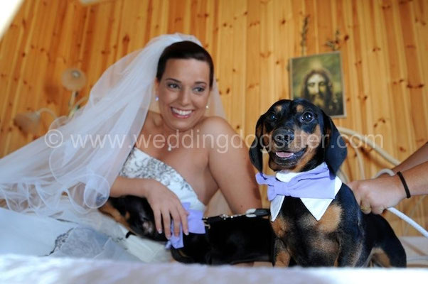 FOTO NON IN POSA CON CANI MATRIMONIO A I DUE CIGNI