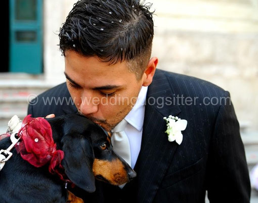 SPOSO CON CANE AL MATRIMONIO BASSOTTO LA COLLINETTA ROMA