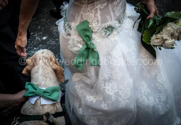 MATRIMONIO WEDDING DOG SITTER VERDE MELA ROMA TENUTA DI RIPOLO