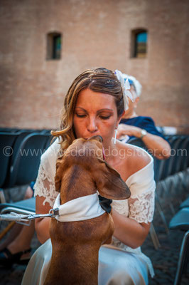 WEDDING DOG SITTER EMILIA ROMAGNA