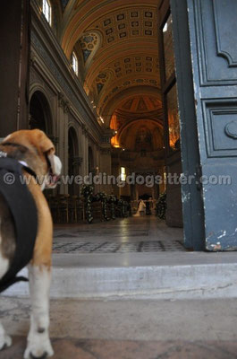 MATRIMONIO WEDDING DOG SITTER ROMA
