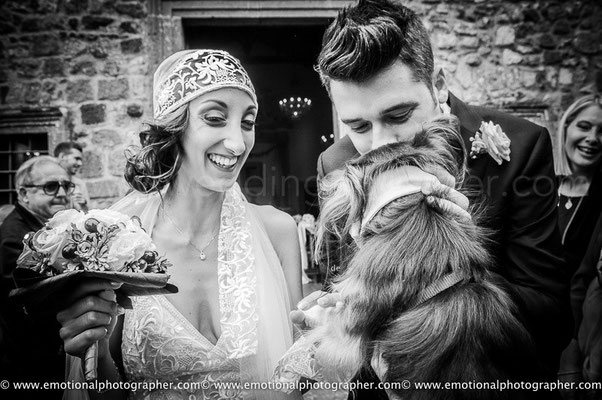 SPOSI CON IL CANE DOGSITTER MATRIMONIO