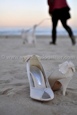 MATRIMONIO WEDDING DOG SITTER PESCARA