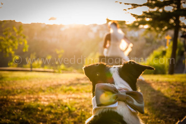 SPOSA VINTAGE SPOSA CON IL CANE