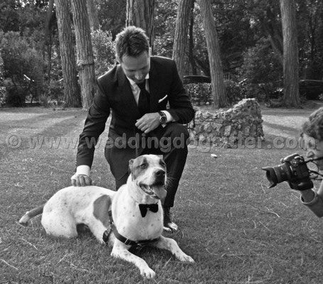 MATRIMONIO WEDDING DOG SITTER ROMA