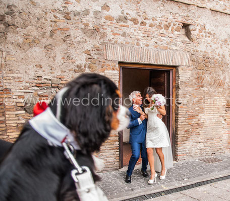 WEDDING DOG SITTER ELISA GUIDARELLI