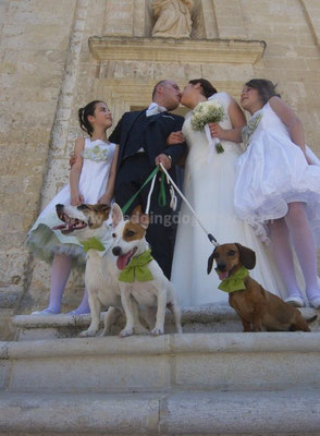 MATRIMONIO WEDDING DOG SITTER MATERA I LUOGHI DI PITTI