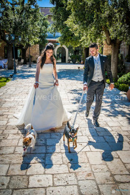 COPPIA SPOSI CON I CANI AL MATRIMONIO WEDDING DOG SITTER