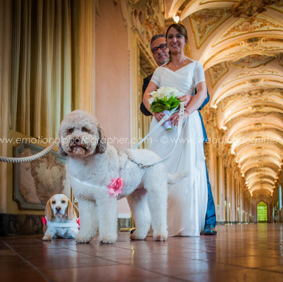 SPOSI CON IL CANE