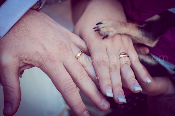 FOTO DI SPOSI CON IL CANE AL MATRIMONIO ROMA