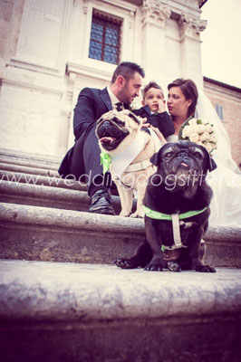 FOTO DI FAMIGLIA CON IL CANE WEDDING DOG SITTER