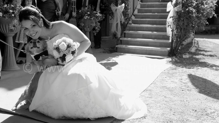MATRIMONIO WEDDING DOG SITTER ROMA RESIDENZA CASTEL VERDE