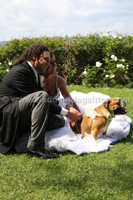 MATRIMONIO WEDDING DOG SITTER ROMA