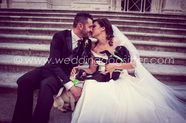WEDDING DOGSITTER VARESE