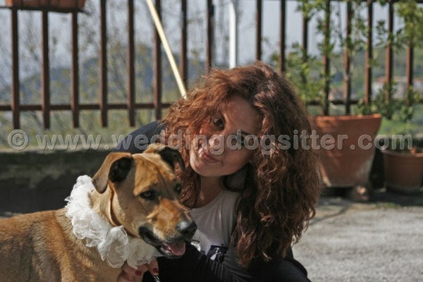 MATRIMONIO WEDDING DOG SITTER SALERNO