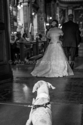 MATRIMONIO WEDDING DOG SITTER ROMA TENUTA DI RIPOLO