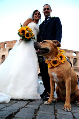 PITBULL PARTECIPA ALLE NOZZE ROMA