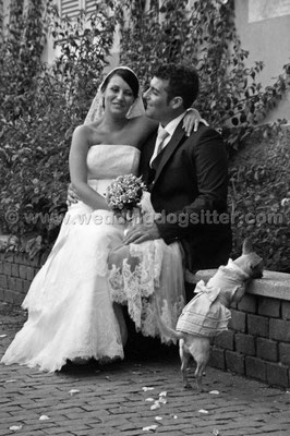MATRIMONIO WEDDING DOG SITTER FROSINONE ROMA