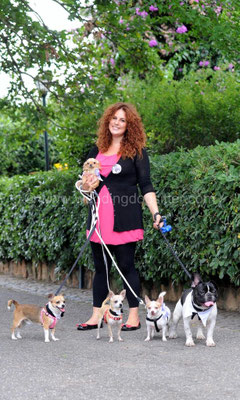 CHIHUAHUA AL MATRIMONIO WEDDING DOG SITTER ABBAZIA DI FARFA