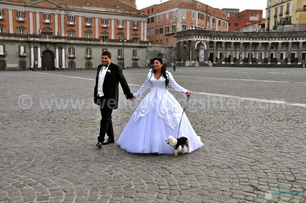 MATRIMONIO WEDDING DOG SITTER NAPOLI