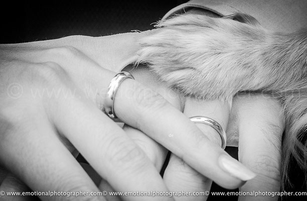 CANE AL MATRIMONIO