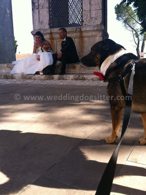 MATRIMONIO WEDDING DOG SITTER ROMA