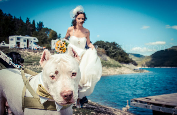 SPOSA CON DOGO CON PAPILLON