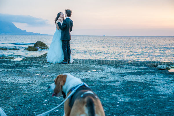 Matrimonio con dog sitter per il cane
