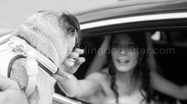 SPOSA CON CARLINO