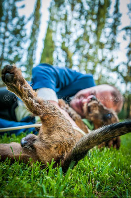 SPOSO CON IL CANE WEDDING DOG SITTER TOSCANA ANTICA FATTORIA DI PATERNO