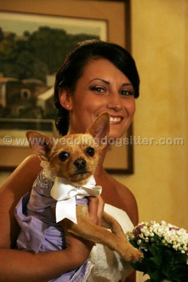 MATRIMONIO WEDDING DOG SITTER FROSINONE