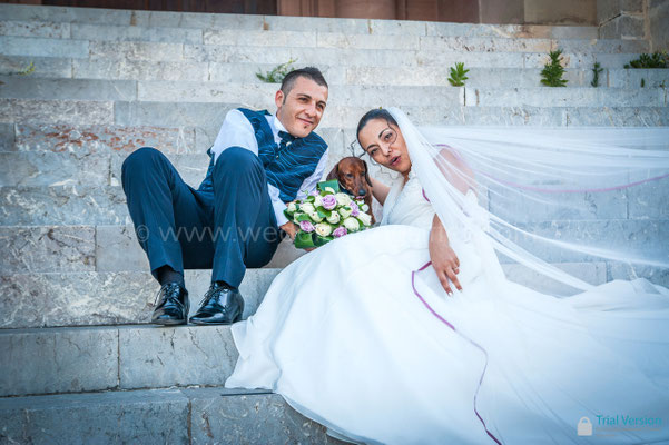 SPOSI A MESSINA CON IL CANE BASSOTTO
