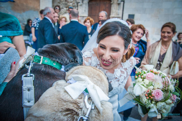 SPOSA A TAORMINA CON CANE CARLINO